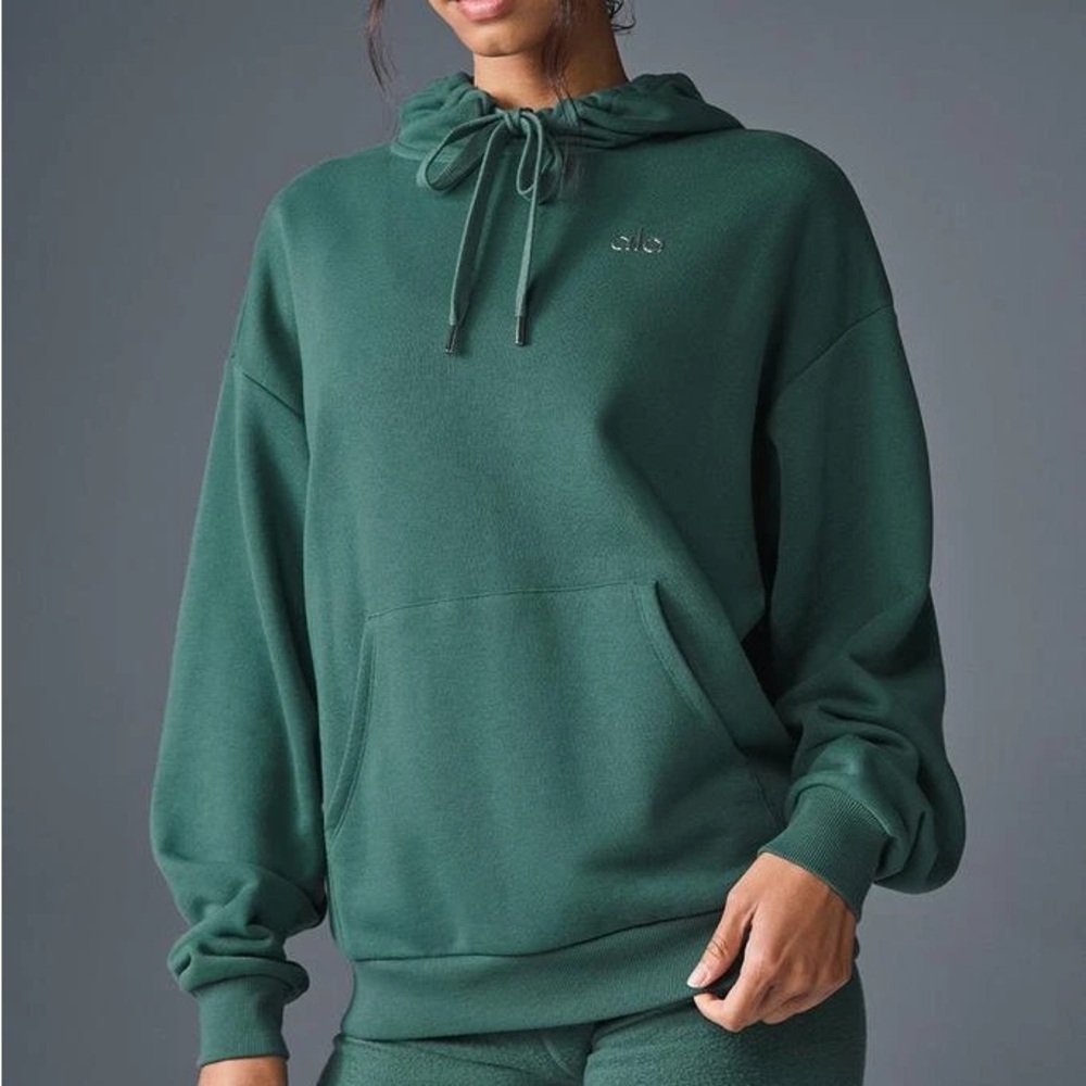 NWT Alo Winter Ivy Accolade Hoodie